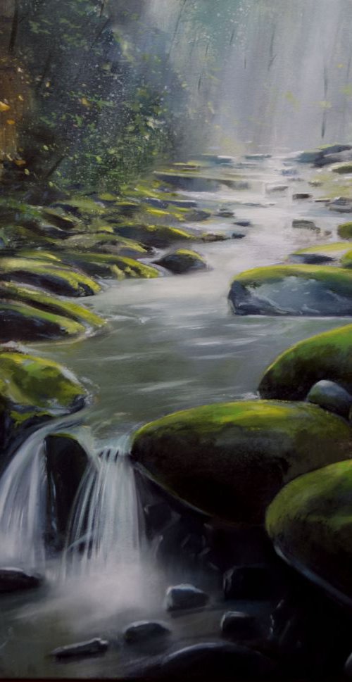 AGUA Y MUSGO 80x65cm by Rafael Carrascal
