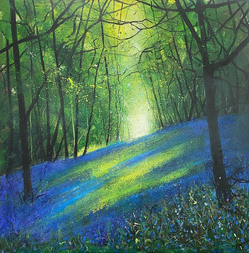 Light through Spring Bluebell Woodland by Teresa Tanner