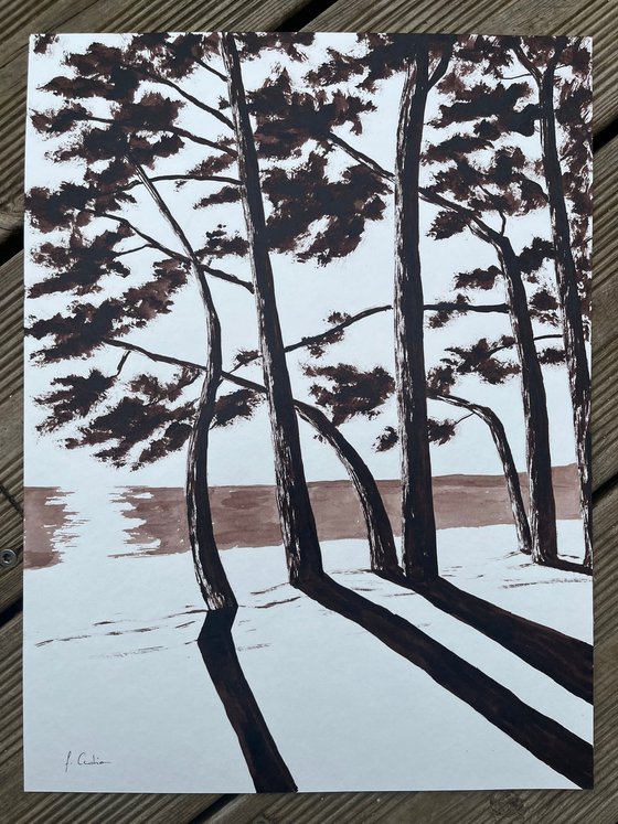 Cap Coz Beach - Burnt Umber ink