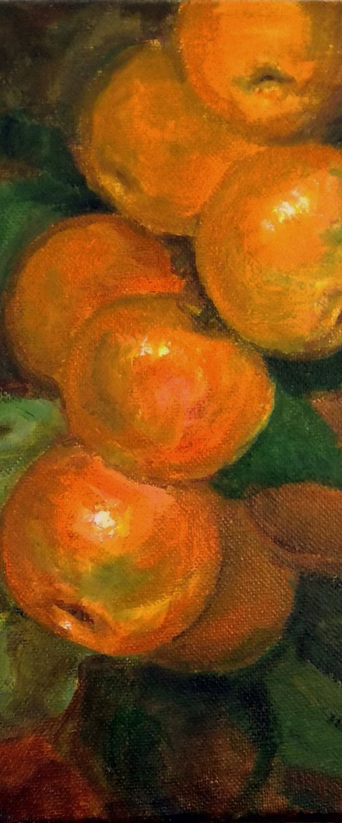 Mandarin Oranges on a branch by Asha Shenoy