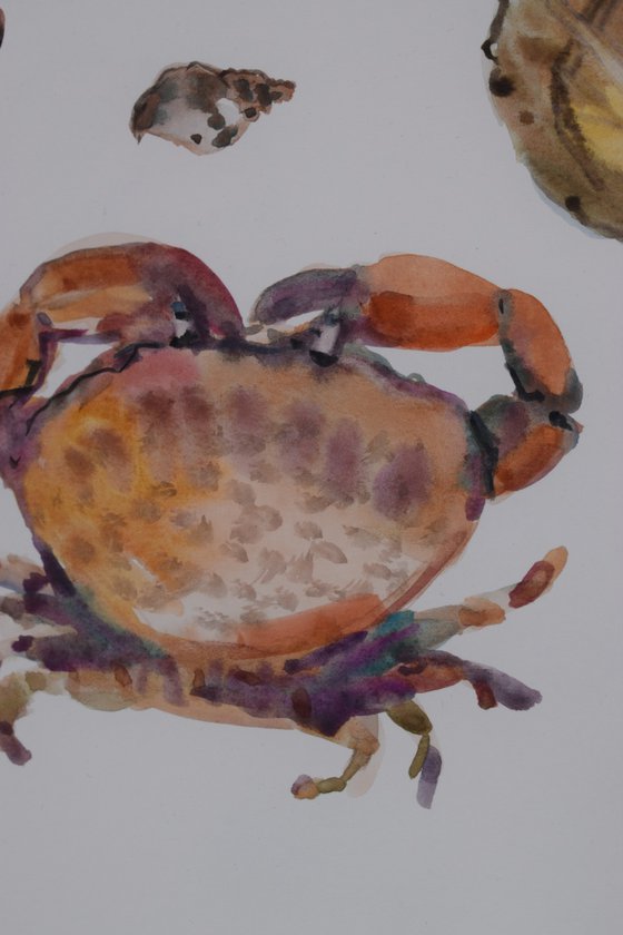 Gifts of the sea .Crab