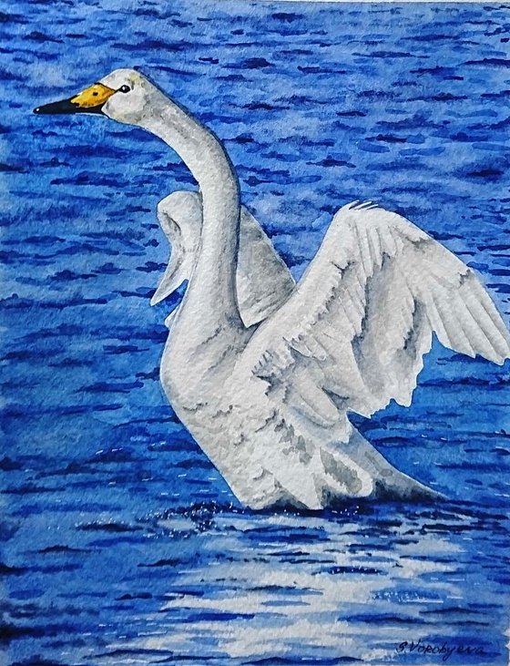 Swan. Watercolor portrait painting.