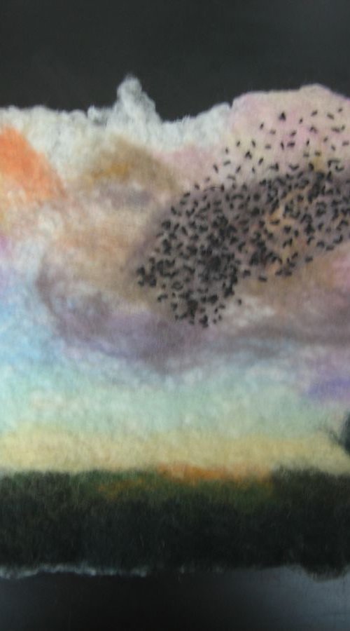 murmuration by Tin Odescalchi