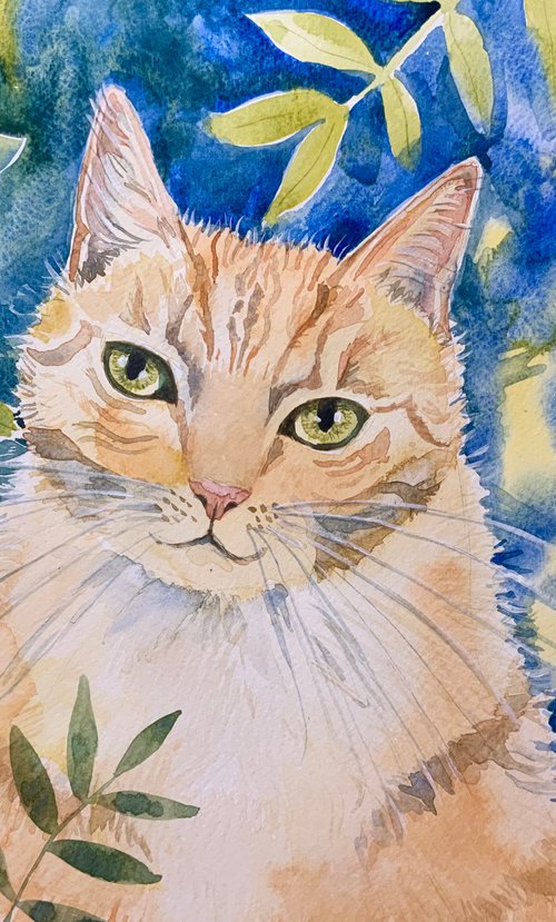 Ginger tabby by Mary Stubberfield