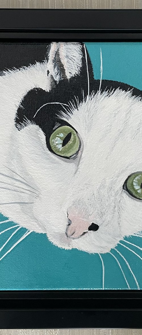 Cat custom portrait by Anne Shaughnessy