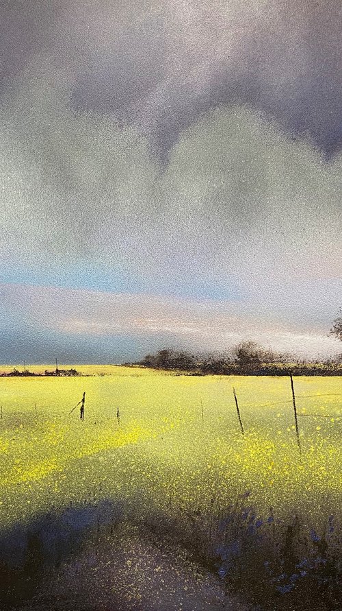 June Fields First Light by Simon Jones