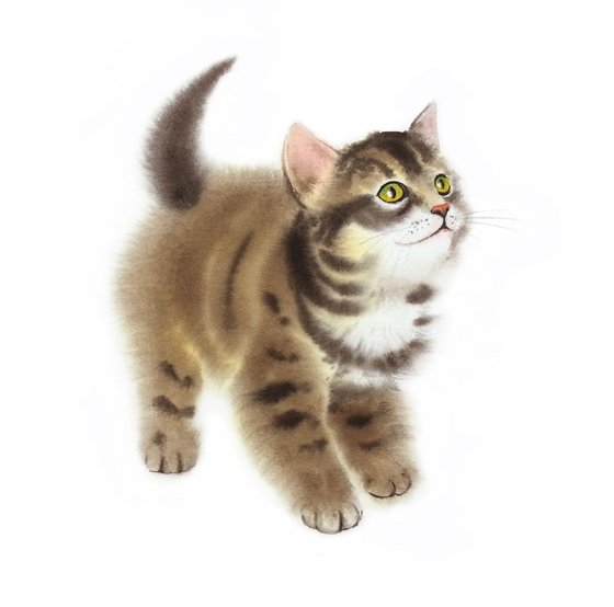 Fluffy Tabby Kitten #2 - Tabby Cat - Kitten Painting - Kitty