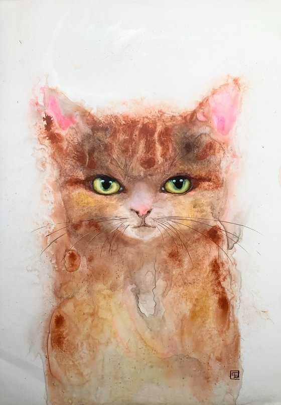 YELLOW KITTY