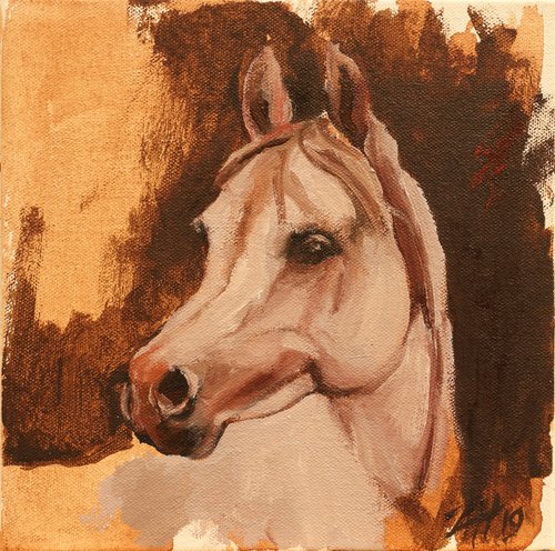 Equine Head Arab White (study 12) by Zil Hoque