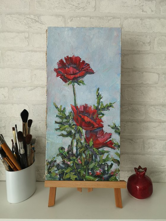 Poppies