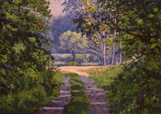 Colorful Forest Light