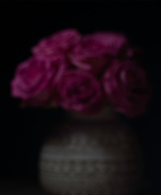 Pink Roses (Still-life) 1/20 18"X 12"