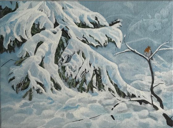 Robin in the Snow