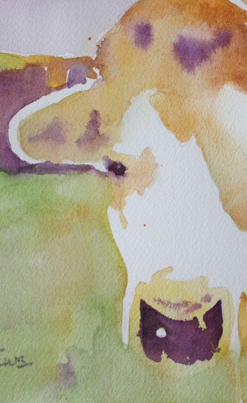 Moo by Bronwen Jones