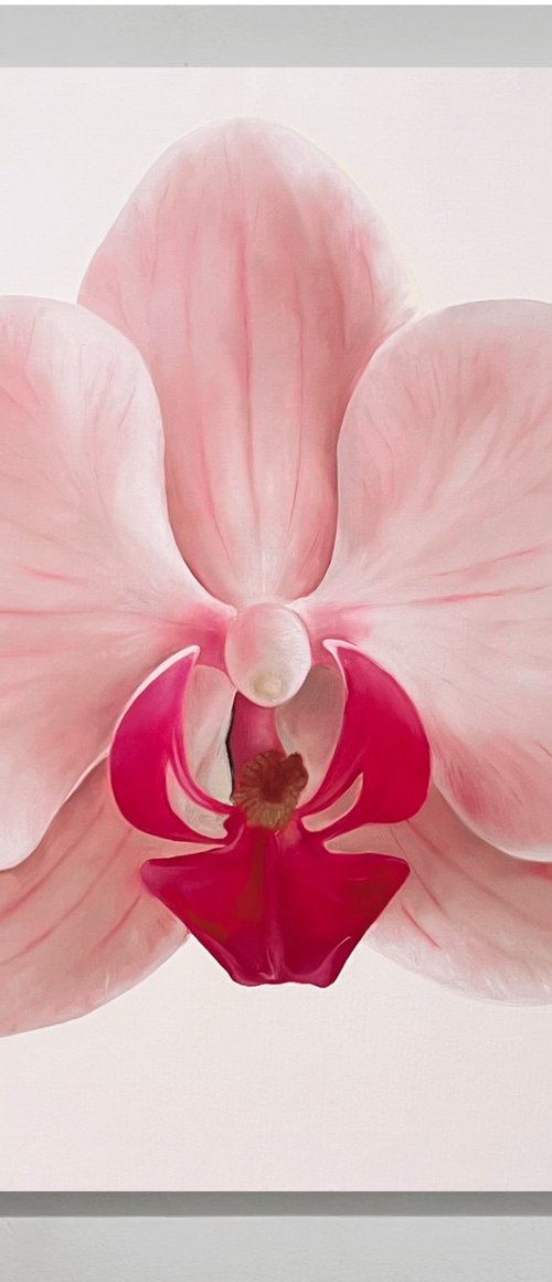 Orchid Pink by Rosi Roys
