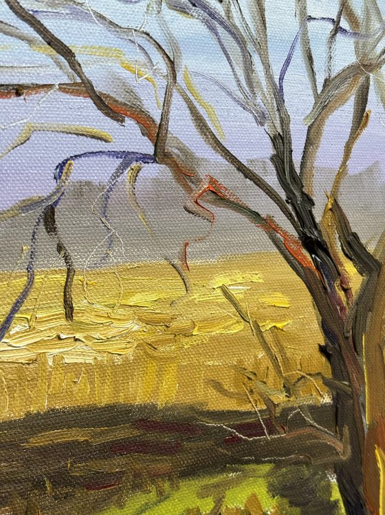 Lone Tree in a March Field