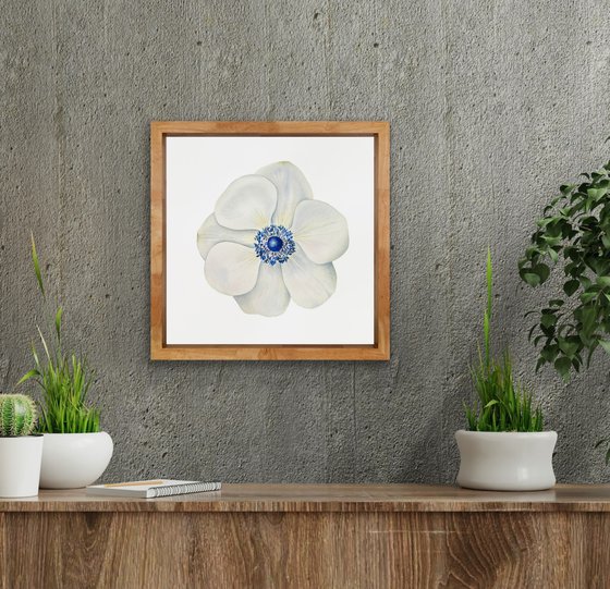 Anemone. Original watercolor artwork