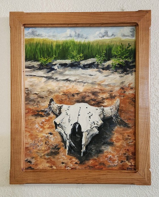 "Washichu" - Landscape - Buffalo - Skull