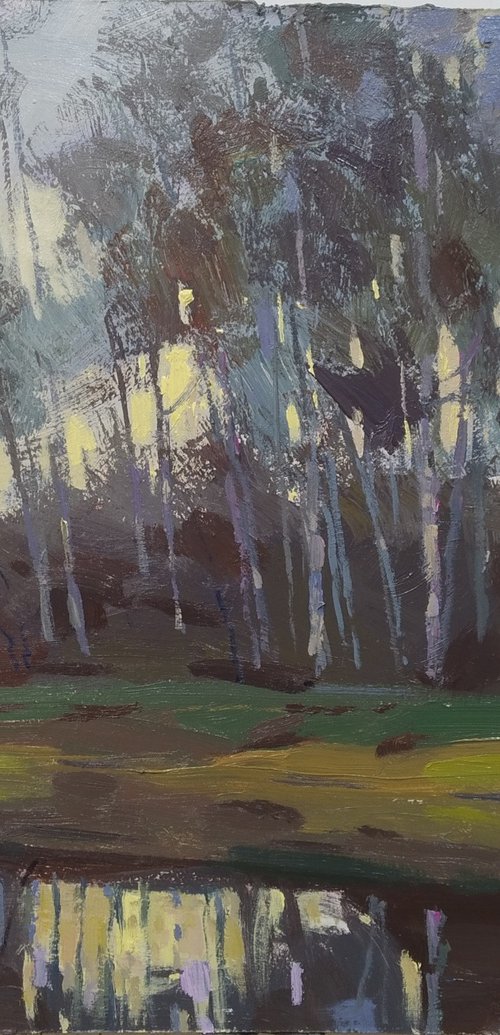 Spring evening by Sergey Kachin