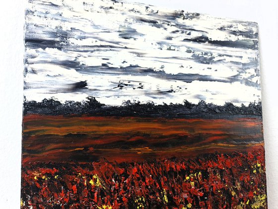 Meadow after rain