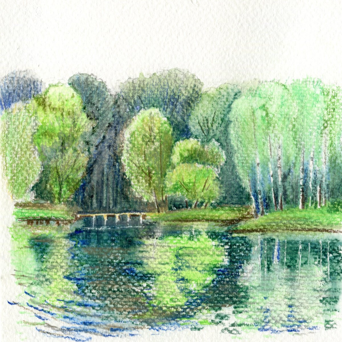 Summer in the park. by Evgeniya Mokeeva