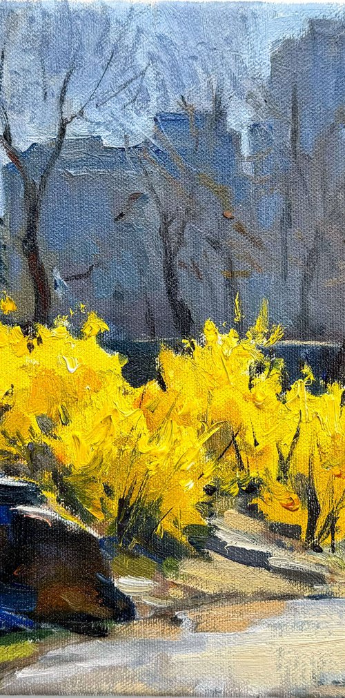 Early Spring in Central Park by Nataliia Nosyk