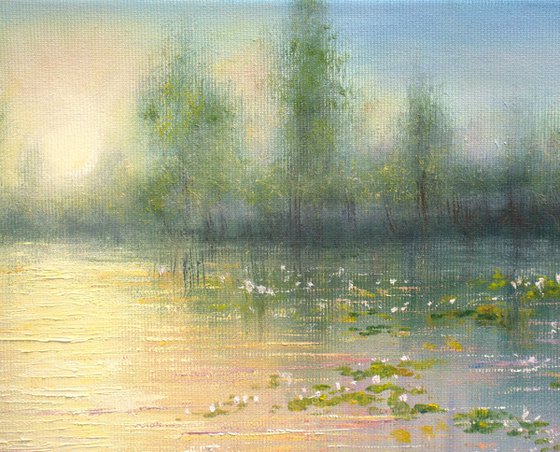 Lilies pond