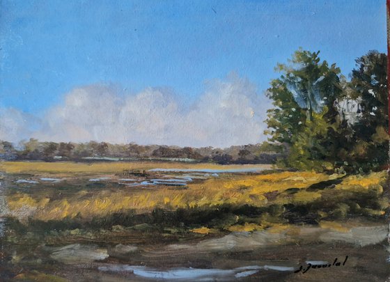 The marsh