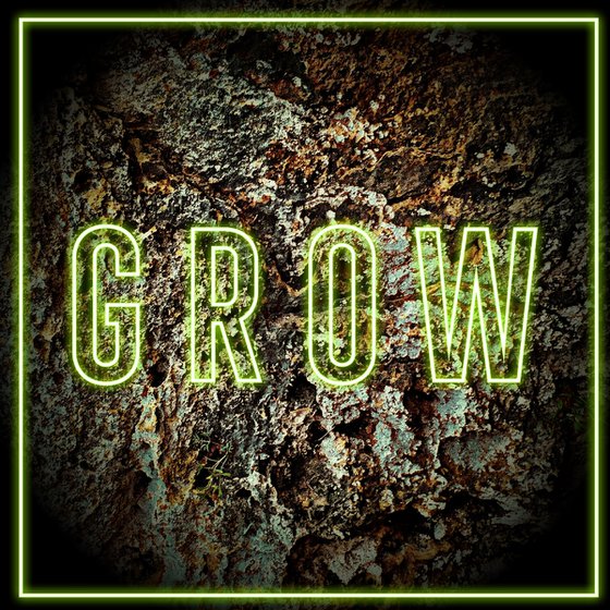 Neon Lockdown Inspiration Series 006: GROW