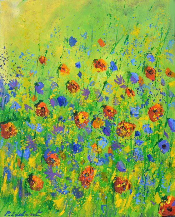 Poppies and blue cornflowers