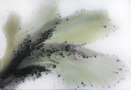 Nature 56