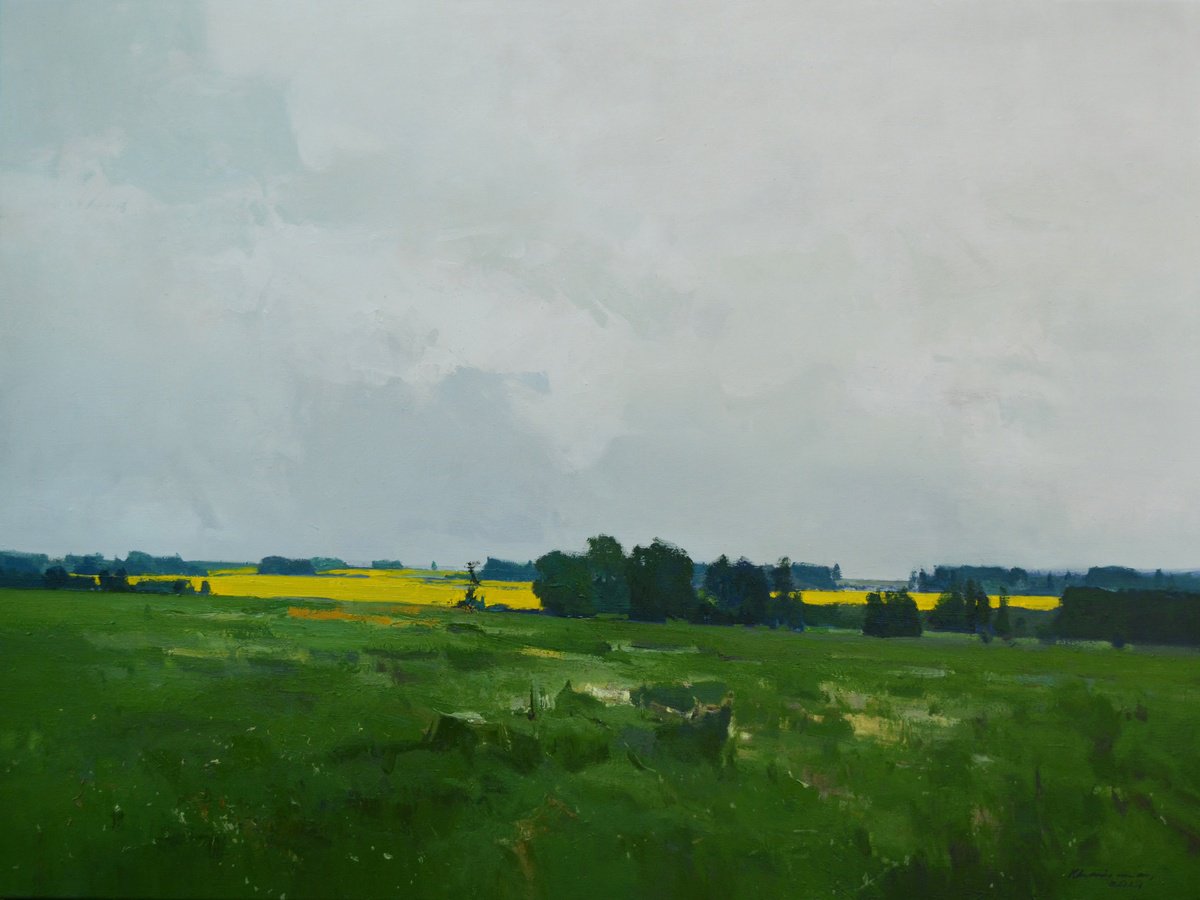 Spring fields by Vytautas Laisonas