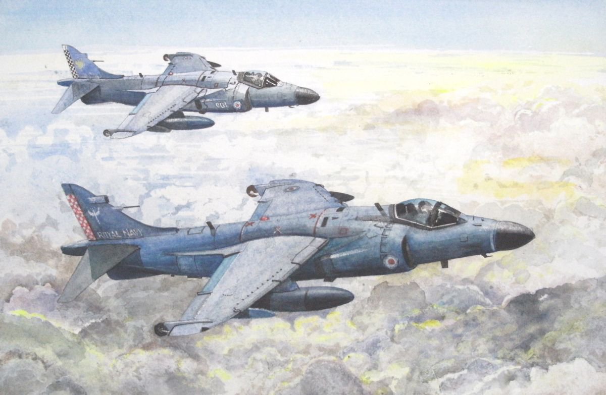 Royal Navy Sea Harriers by John Lowerson