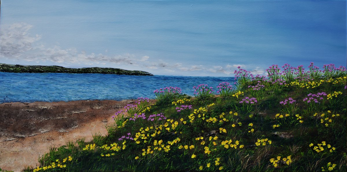 Sea Thrift and Gorse on Hibre Island 50cm x 100cm by Hazel Thomson