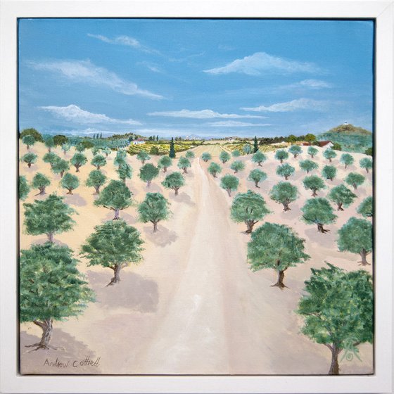 Olive Groves