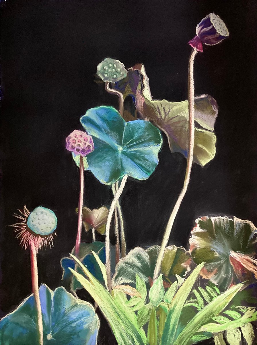 Impressionistic Botanical Pastel Drawing By John Cottee, 22 X 30, Spent Lotuses, Original Artwork