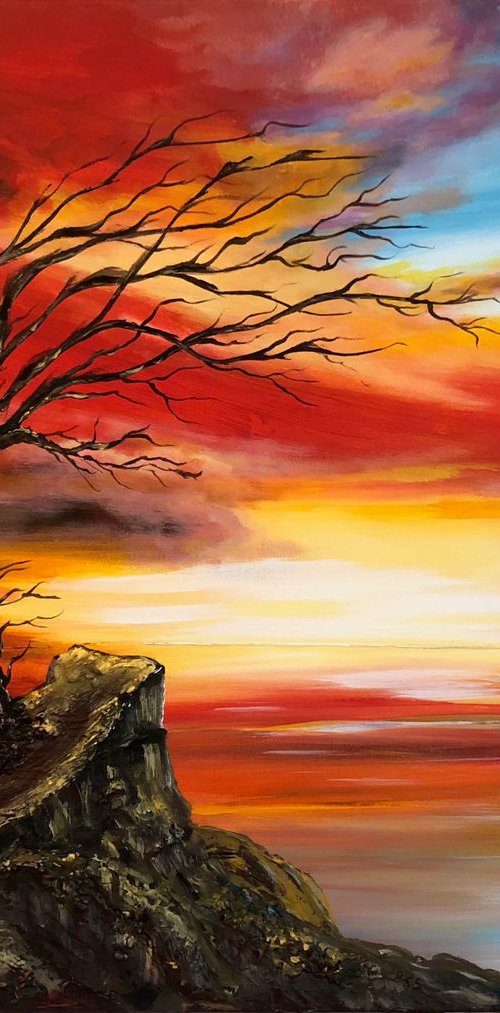 Promise of a new day by Marja Brown