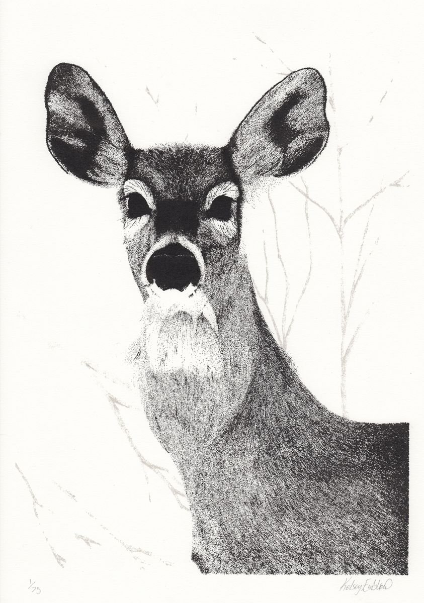 White Tailed Deer by Kelsey Emblow