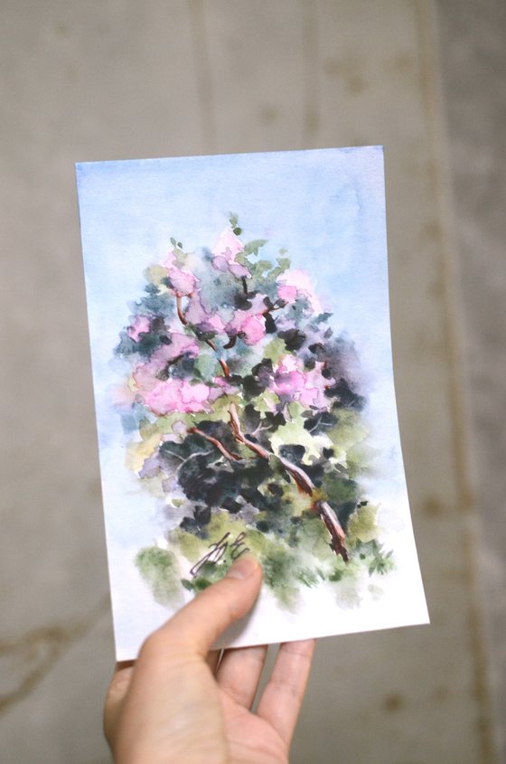 Spring lilac tree