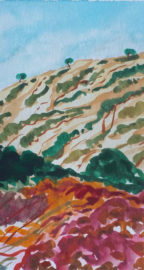 Hillside at Bahia las Rocas by Kirsty Wain