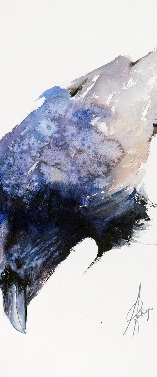 raven 1 by Andrzej Rabiega