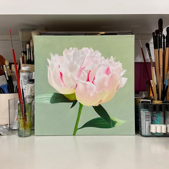 White Peony