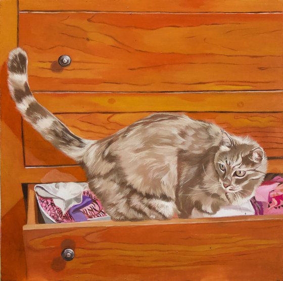 Ghibli in the chest of drawers, portrait of a grey cat by Anne Zamo