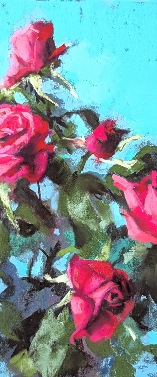Pink Roses by Silja Salmistu