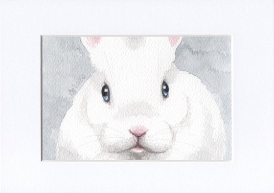 White rabbit 3
