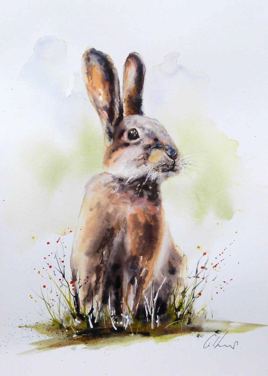Rabbit. by Graham Kemp