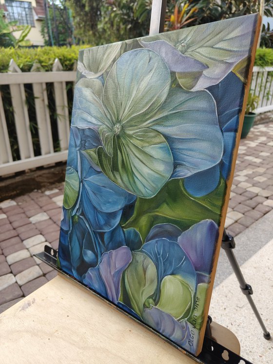 Hydrangea 2