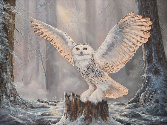 Silent Wings