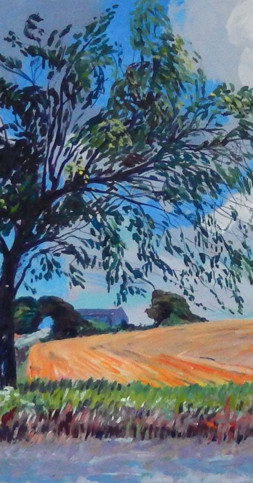 Farm, Tree and Sky, Fife, Scotland. by Stephen Howard Harrison
