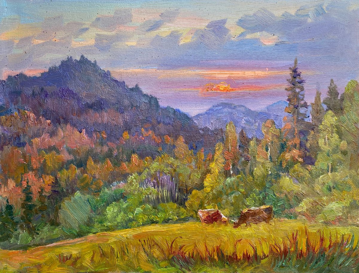 Impressionistic Landscape Oil Painting By Aleksandr Dubrovskyy, 16 X 12, Summer Evening, Original Artwork